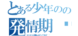 とある少年のの発情期♥︎（ビンビンに跳ね上がってるぜ‼︎）