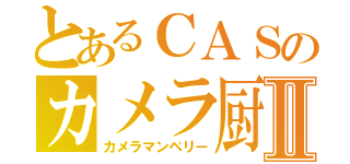 とあるＣＡＳのカメラ厨Ⅱ（カメラマンベリー）