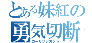 とある妹紅の勇気切断（カーリッジカット）