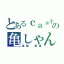 とあるｃａｓ主の亀しゃん（過疎　配信）