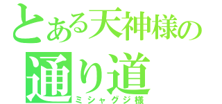 とある天神様の通り道（ミシャグジ様）