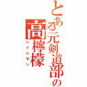 とある元剣道部の高檸檬Ⅱ（ハイレモン）