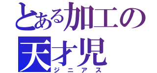 とある加工の天才児（ジニアス）