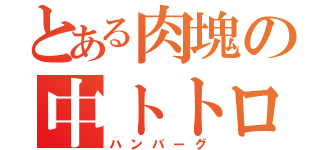 とある肉塊の中トトロ（ハンバーグ）