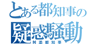 とある都知事の疑惑騒動（舛添都知事）