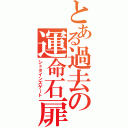 とある過去の運命石扉（シュタインズゲート）