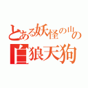 とある妖怪の山の白狼天狗（）