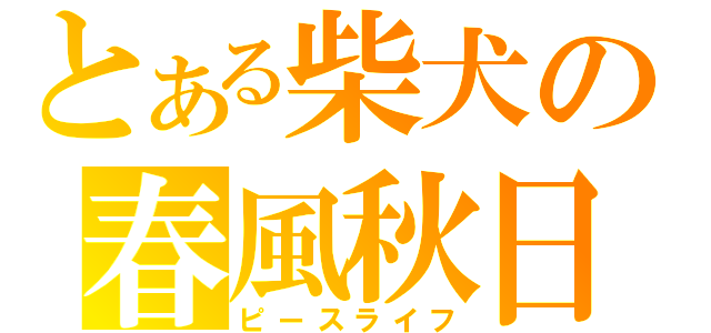 とある柴犬の春風秋日（ピースライフ）