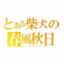 とある柴犬の春風秋日（ピースライフ）