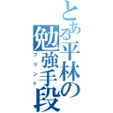 とある平林の勉強手段（プリント）