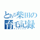 とある柴田の育毛記録（インデックス）