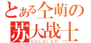 とある仝萌の苏大战士（ＳＯＬＤＩＥＲ）