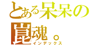 とある呆呆の崑魂。（インデックス）