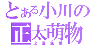 とある小川の正太萌物（攻得無量）