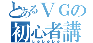 とあるＶＧの初心者講習（しゅしゅしゅ）