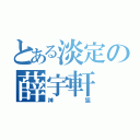 とある淡定の薛宇軒（神狙）