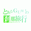 とあるＧＵＭＩの刹那旅行（セツナトリップ）