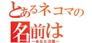 とあるネコマの名前は（～あなた次第～）