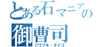 とある石マニアの御曹司（ツワブキ・ダイゴ）