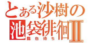 とある沙樹の池袋徘徊Ⅱ（臨也待ち）