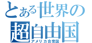 とある世界の超自由国（アメリカ合衆国）