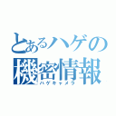 とあるハゲの機密情報（ハゲキャメラ）