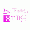 とある下手愛者のＳＴＢ狂（）