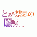 とある禁忌の鷹唳（神秘武器）