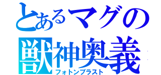 とあるマグの獣神奥義（フォトンブラスト）