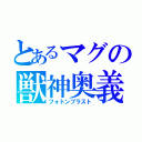 とあるマグの獣神奥義（フォトンブラスト）