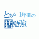 とある１年間の猛勉強（）