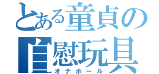 とある童貞の自慰玩具（オナホール）