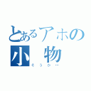 とあるアホの小動物（そうか…）