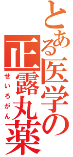 とある医学の正露丸薬（せいろがん）