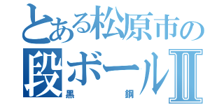 とある松原市の段ボール回収員Ⅱ（黒鋼）