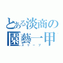 とある淡商の園藝一甲（スリープ）