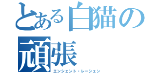 とある白猫の頑張（エンシェント・レーシェン）