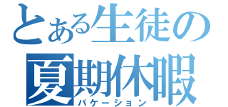 とある生徒の夏期休暇（バケーション）