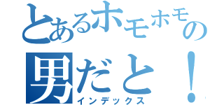 とあるホモホモさんの男だと！？（インデックス）