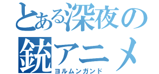 とある深夜の銃アニメ（ヨルムンガンド）