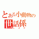 とある小動物の世話係（しよぴ）