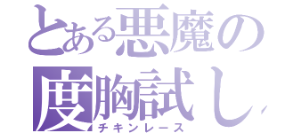 とある悪魔の度胸試し（チキンレース）