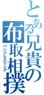 とある兄貴の布取相撲（パンツレスリング）