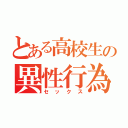 とある高校生の異性行為（セックス）