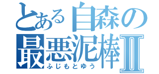 とある自森の最悪泥棒Ⅱ（ふじもとゆう）