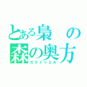 とある梟の森の奥方（ガラドリエル）