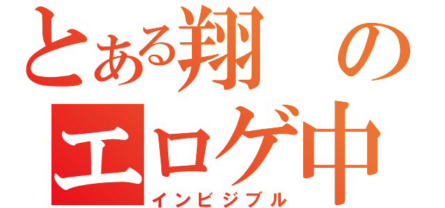 とある翔のエロゲ中毒（インビジブル）