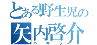 とある野生児の矢内啓介（バキラ）