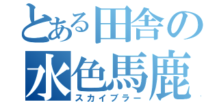 とある田舎の水色馬鹿（スカイブラー）