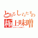 とあるしらたまこの極上味噌（エステシャンを目指して）